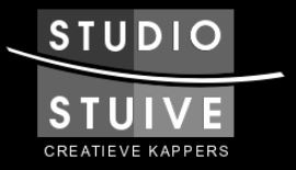 Studio Stuive logo